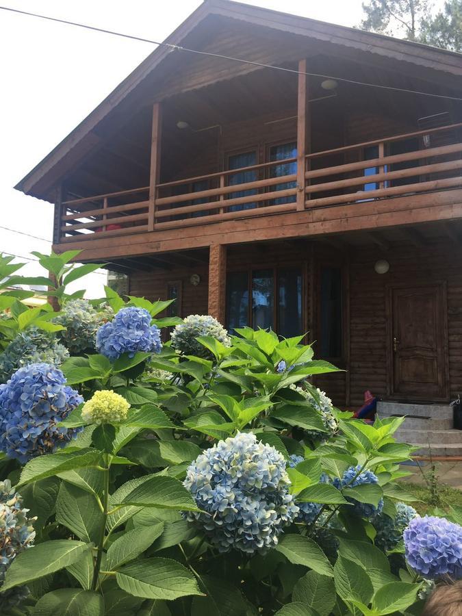 Green Cottage Shekvetili Ureki Exterior photo